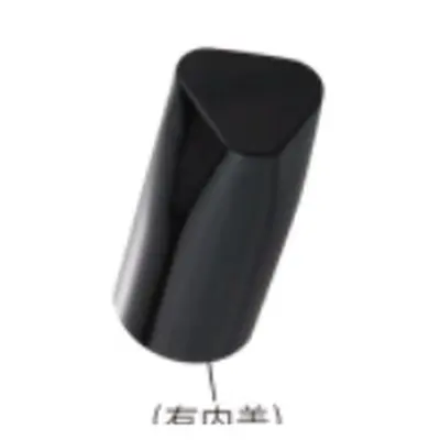 Vỏ son thỏi đen dáng khiên – ảnh 3