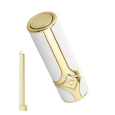 Vỏ son thỏi bọc da trắng viền vàng – ảnh 6